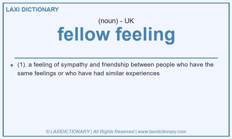 Definition fellow feeling in British English