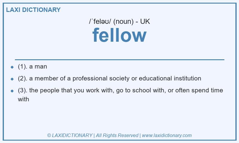 Definition fellow in British English