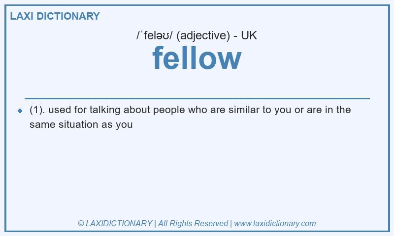 Definition fellow in British English