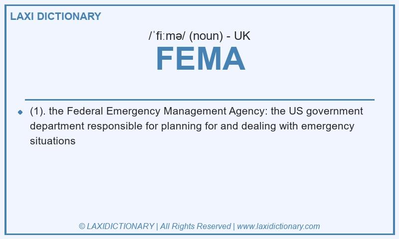 Definition FEMA in British English
