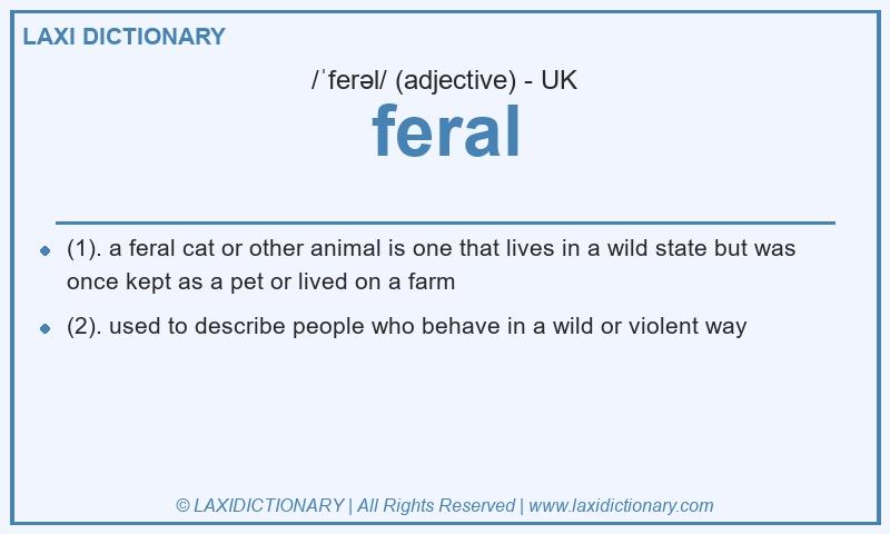 Definition feral in British English