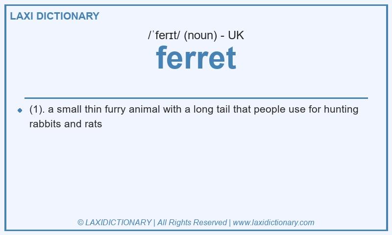 Definition ferret in British English