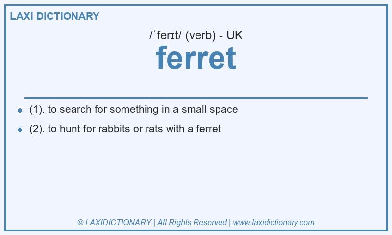 Definition ferret in British English