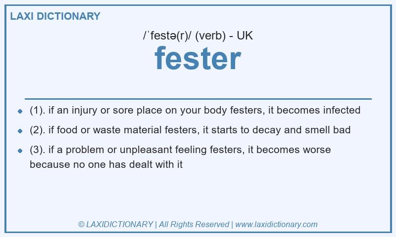 Definition fester in British English
