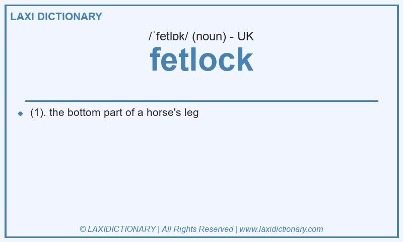 Definition fetlock in British English