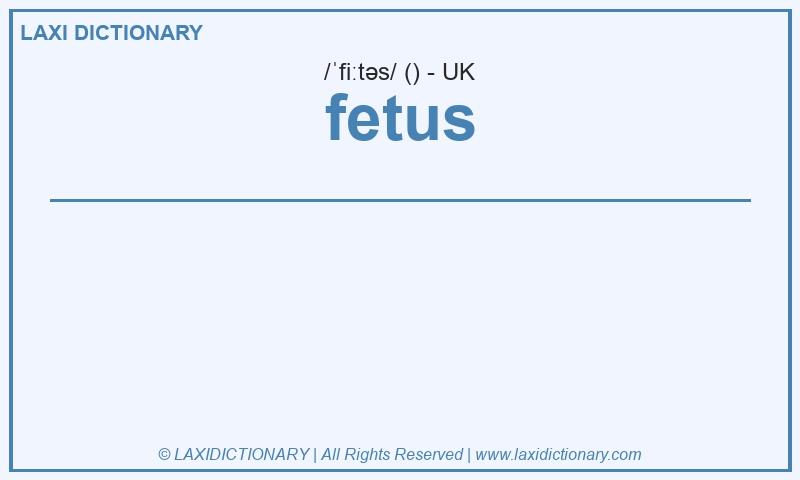 Definition fetus in British English