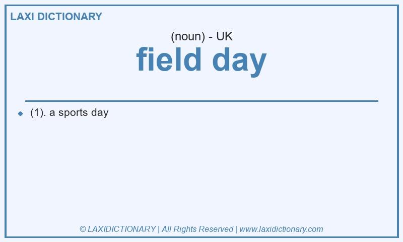 Definition field day in British English
