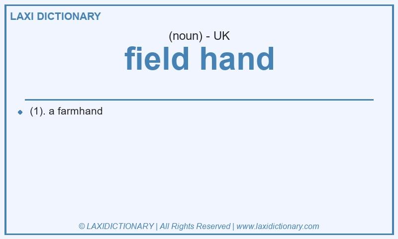 Definition field hand in British English