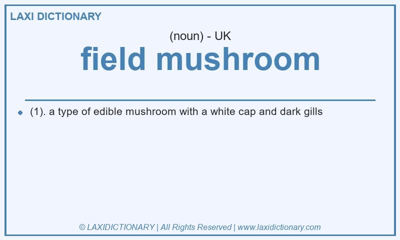 Definition field mushroom in British English