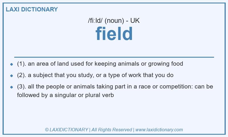 Definition field in British English