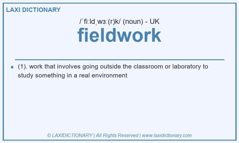 Definition fieldwork in British English