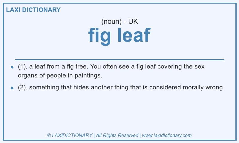Definition fig leaf in British English