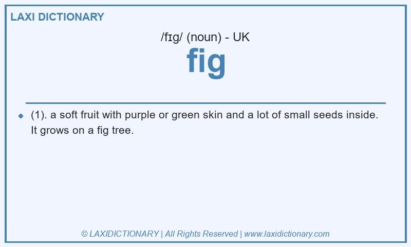 Definition fig in British English