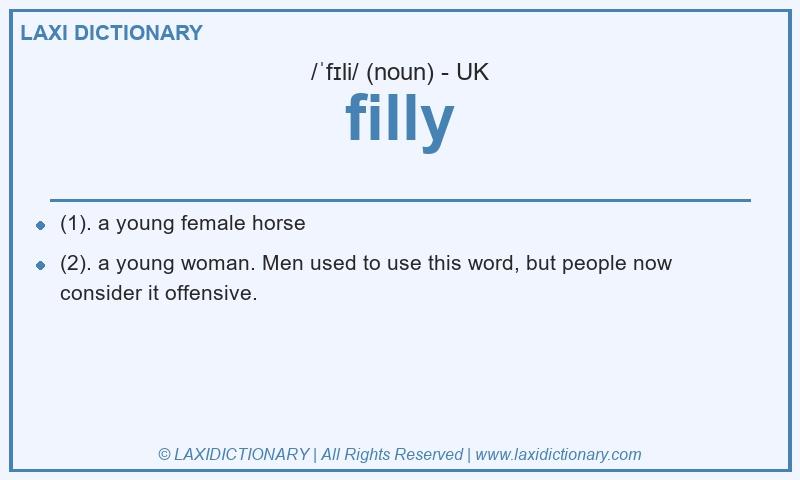 Definition filly in British English