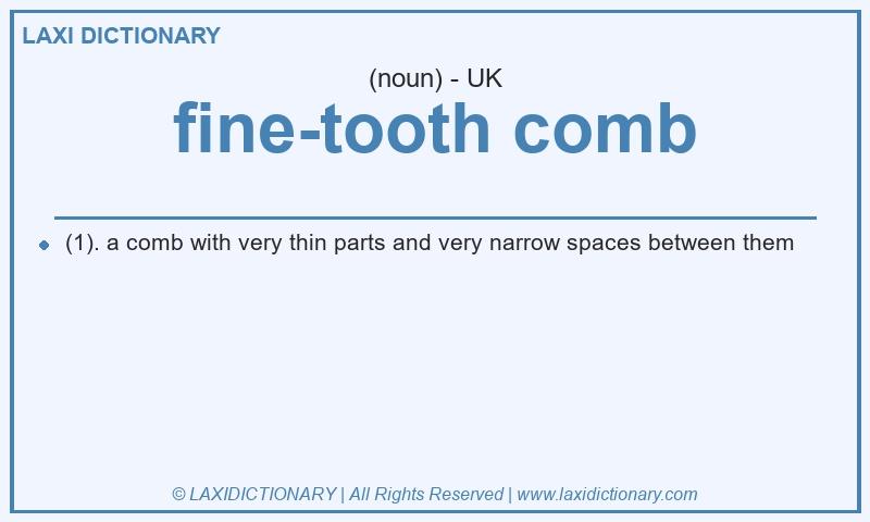 Definition fine-tooth comb in British English