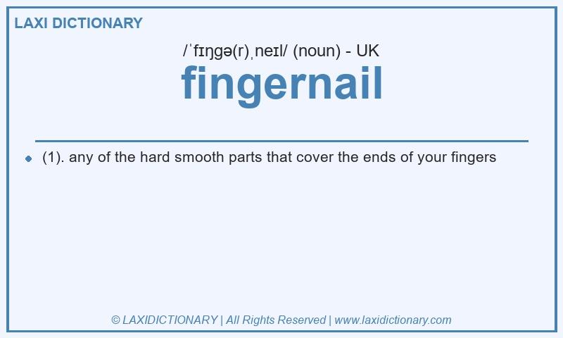Definition fingernail in British English