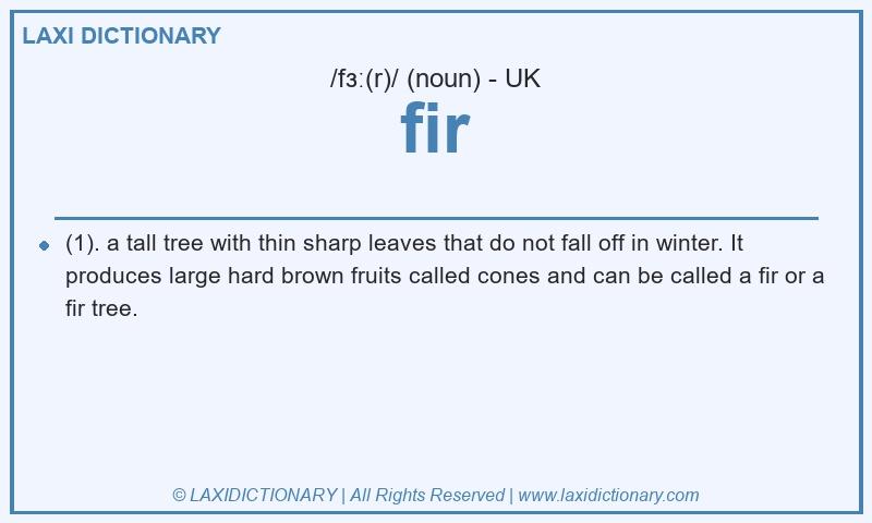 Definition fir in British English
