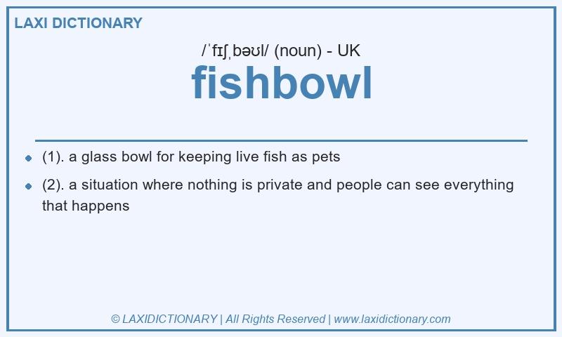 Definition fishbowl in British English