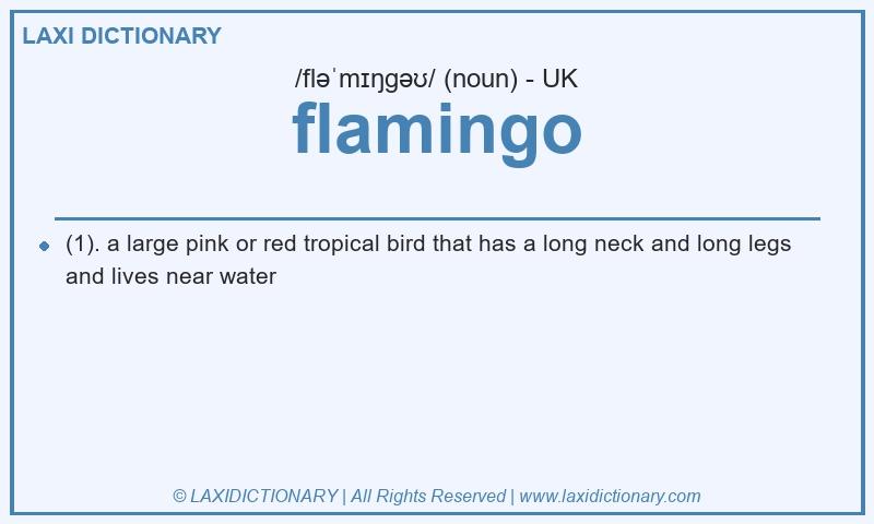 Definition flamingo in British English