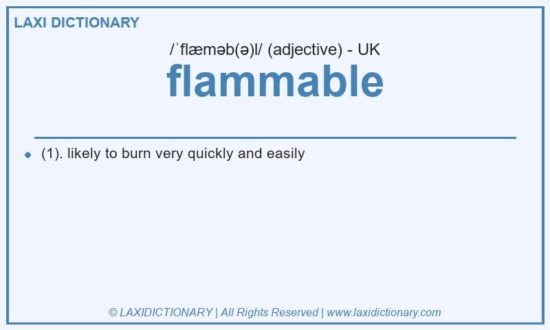 Definition flammable in British English