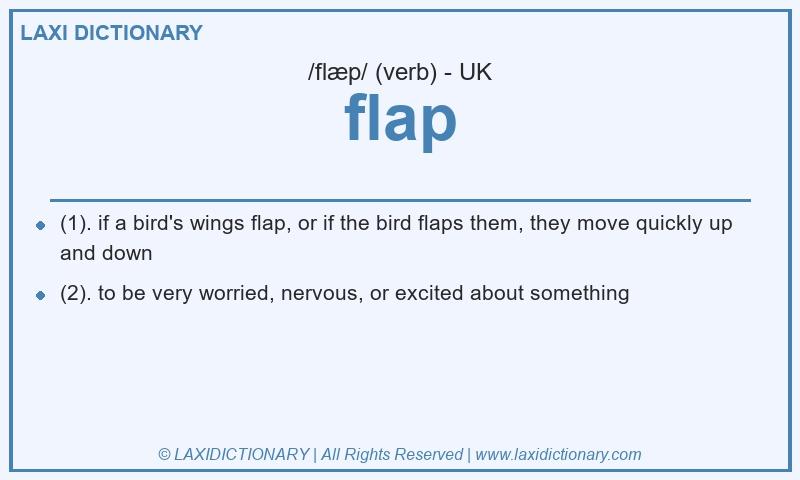 Definition flap in British English