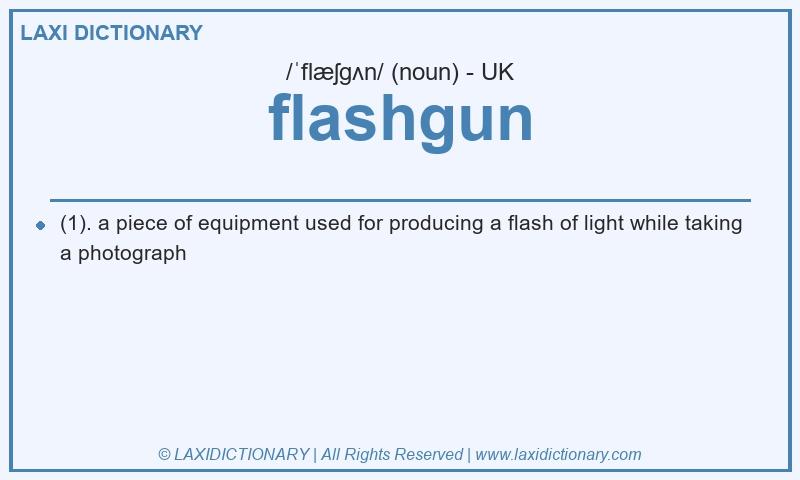 Definition flashgun in British English