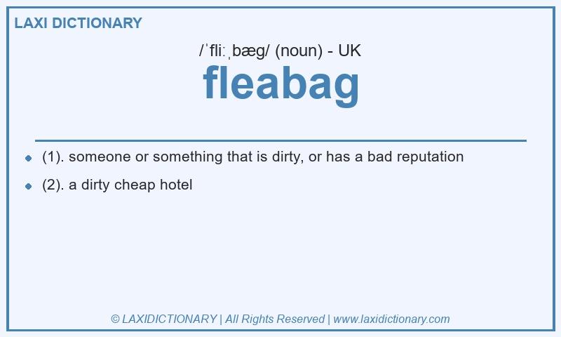 Definition fleabag in British English