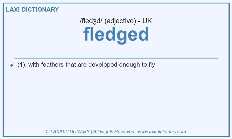 Definition fledged in British English