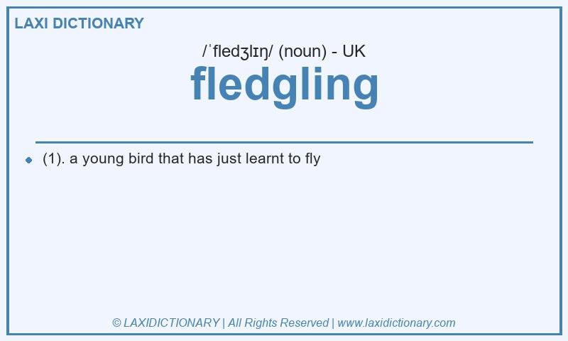 Definition fledgling in British English
