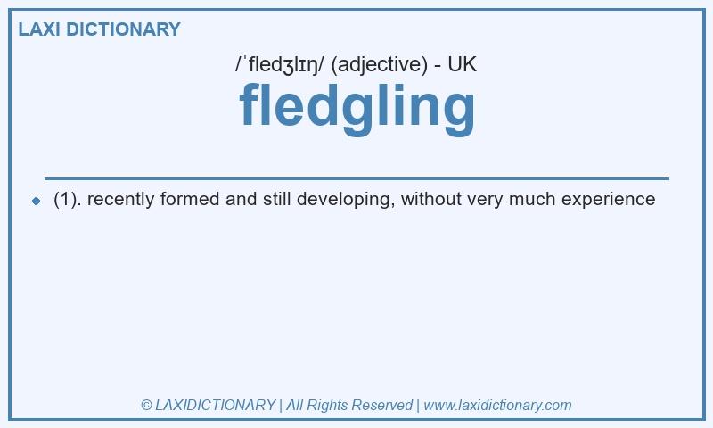 Definition fledgling in British English
