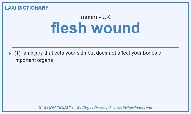Definition flesh wound in British English