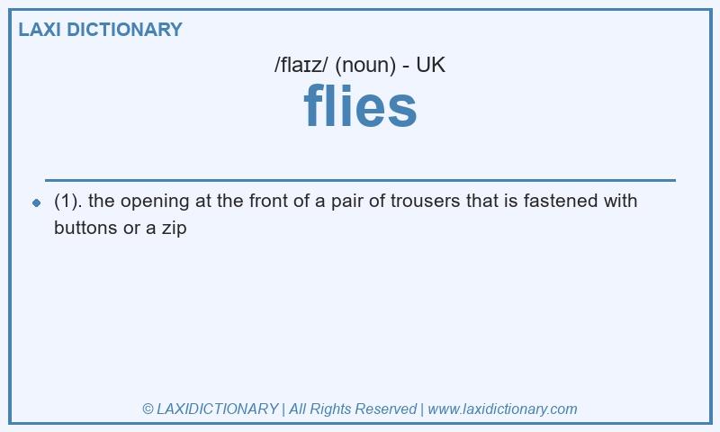 Definition flies in British English