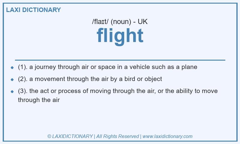 Definition flight in British English