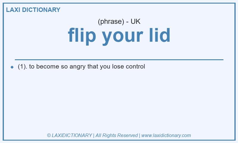 Definition flip your lid in British English