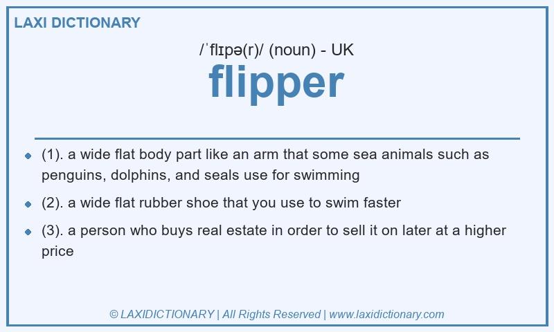 Definition flipper in British English