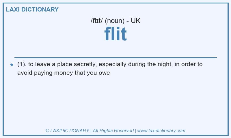 Definition flit in British English