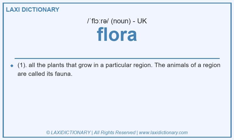 Definition flora in British English
