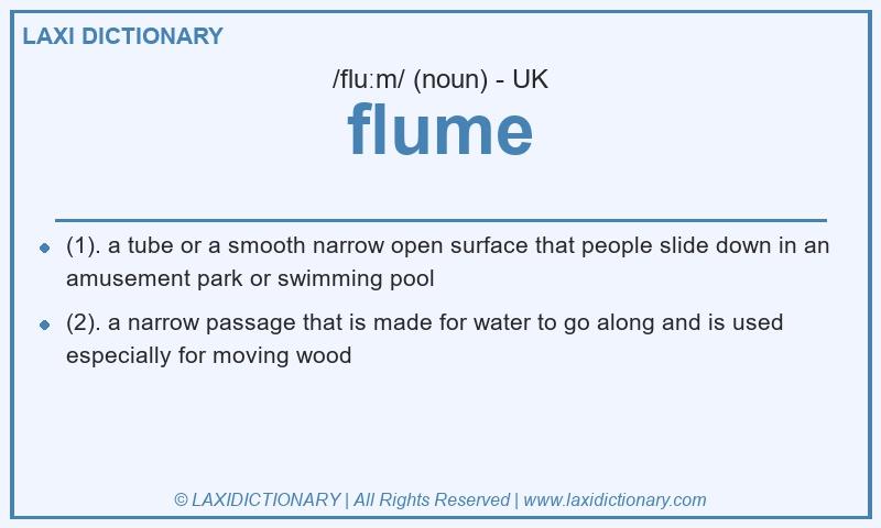 Definition flume in British English