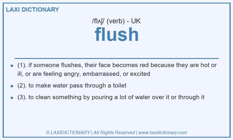Definition flush in British English