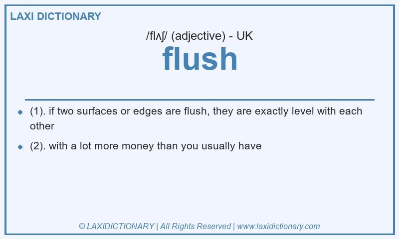Definition flush in British English