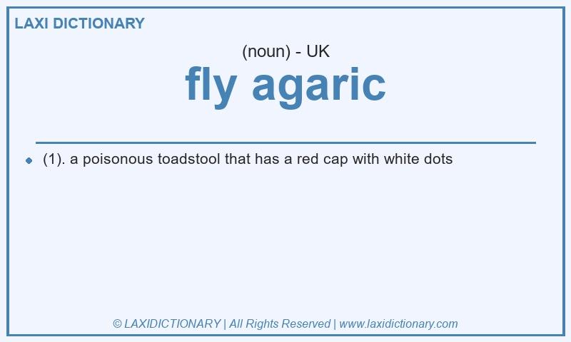 Definition fly agaric in British English