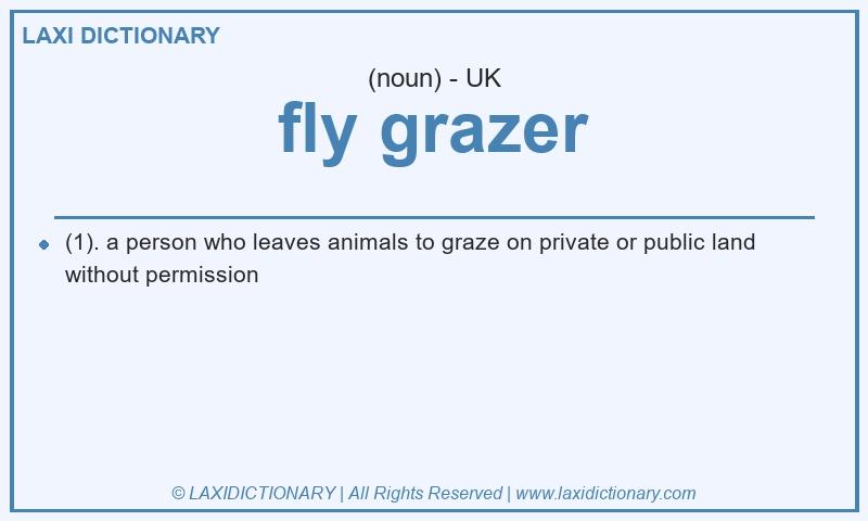 Definition fly grazer in British English