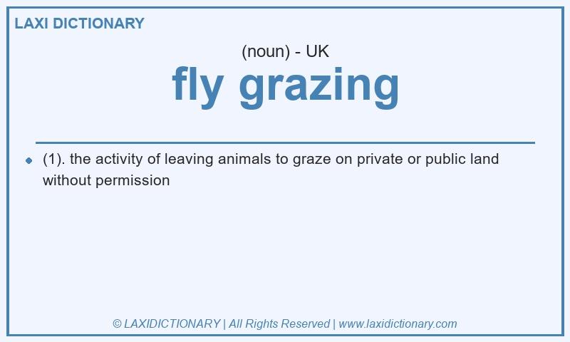 Definition fly grazing in British English