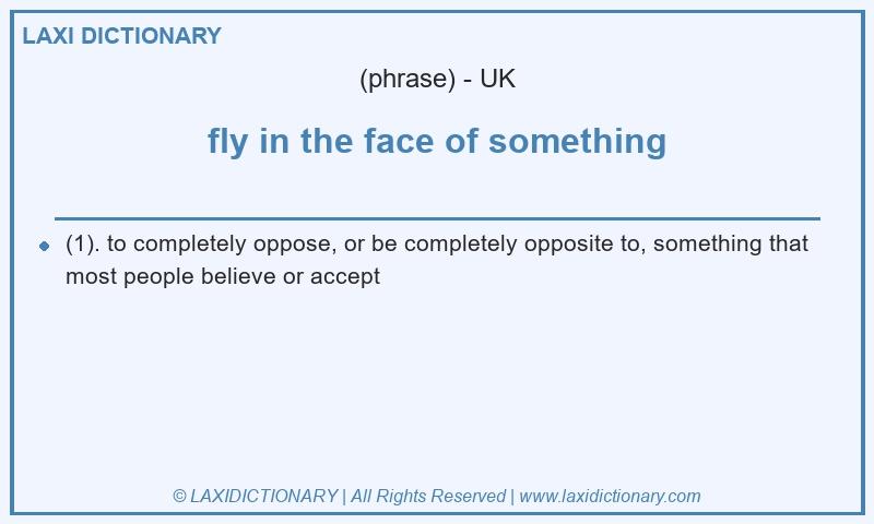 Definition fly in the face of something in British English