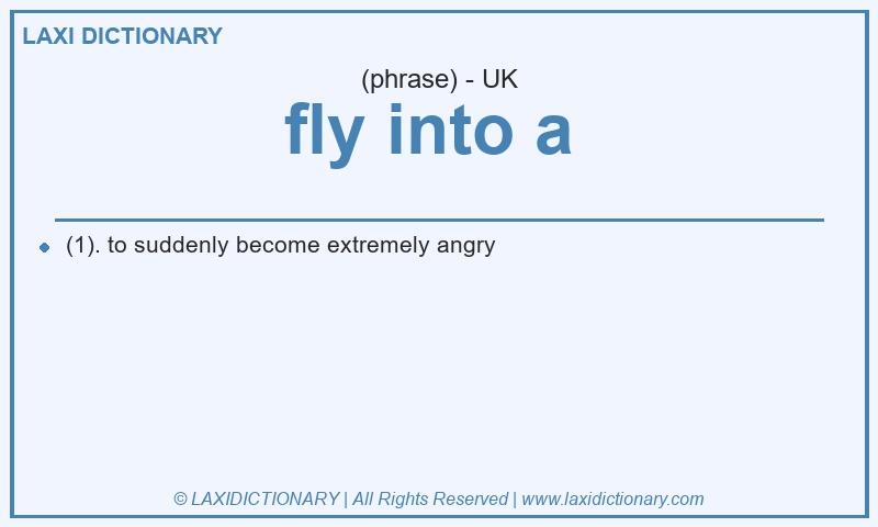 Definition fly into a  in British English