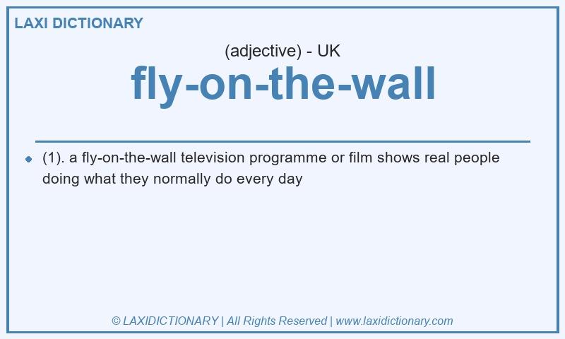 Definition fly-on-the-wall in British English