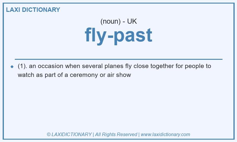 Definition fly-past in British English