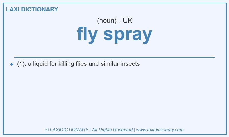 Definition fly spray in British English