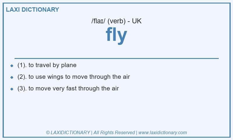 Definition fly in British English