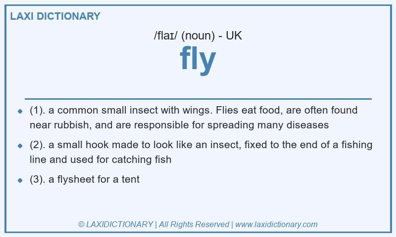 Definition fly in British English